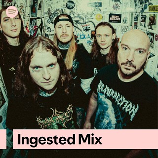 Imagem de Ingested