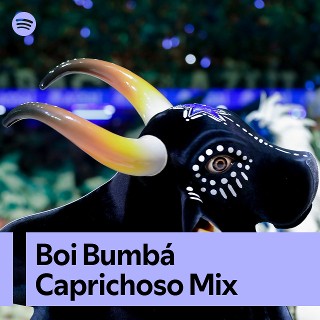 Imagem de G.R.E.S.V Caprichosos do Boa Vista