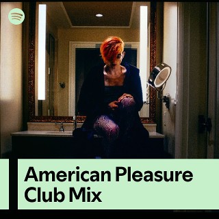 Imagem de American Pleasure Club