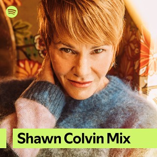 Imagem de Shawn Colvin