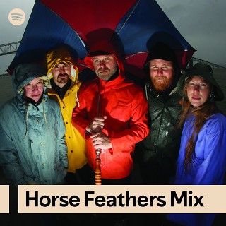 Imagem de Horse Feathers