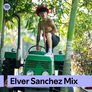 Imagem de Elver Sanchez