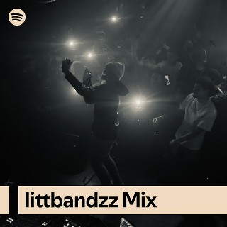 littbandzz Mix | Spotify Playlist