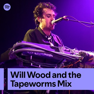 Imagem de Will Wood And The Tapeworms