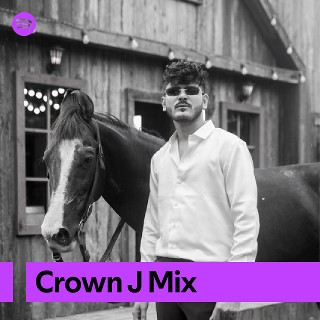 Imagem de Crowne Flip