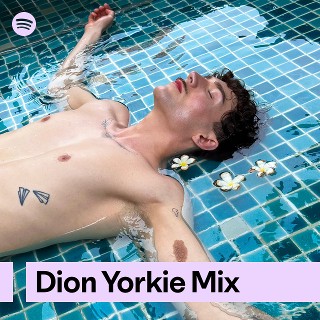 Imagem de Dion Yorkie