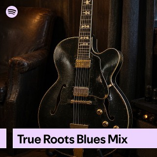 True Roots Blues Mix | Spotify Playlist