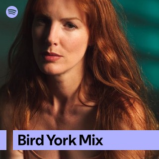 Bird York Mix | Spotify Playlist