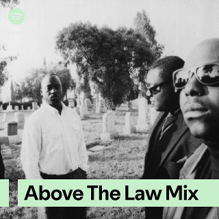 Imagem de Above the law