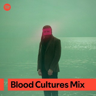 Imagem de Blood Cultures