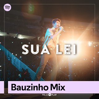 Imagem de Bauzinho