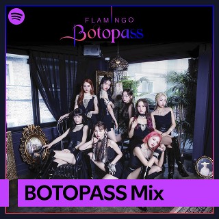 Imagem de Botopass