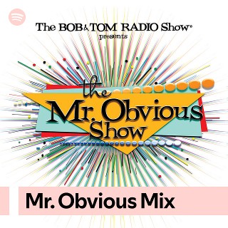 Mr. Obvious Mix | Spotify Playlist