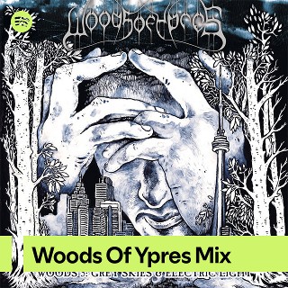 Imagem de Woods Of Ypres