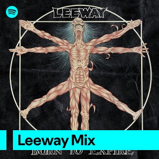 Imagem de Leeway