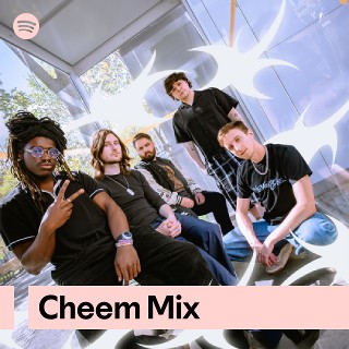 Cheem Mix | Spotify Playlist