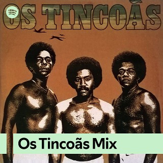 Imagem de G.R.E.S. Os Rouxinóis (RS)