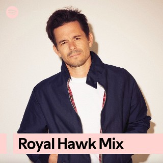 Imagem de Royal Hawk