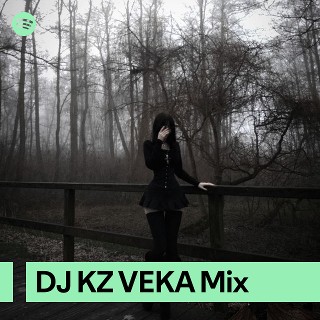 DJ KZ VEKA Mix | Spotify Playlist