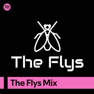 Imagem de The Flys