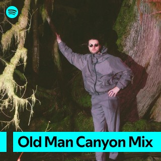Imagem de Old Man Canyon