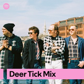 Imagem de Deer Tick
