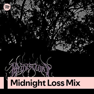 Imagem de Midnight Loss