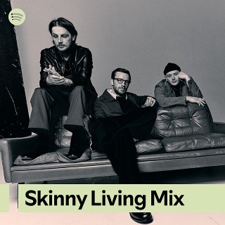 Imagem de Skinny Living