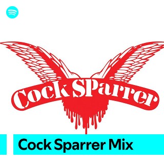 Imagem de Cock Sparrer