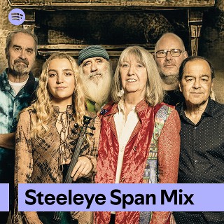 Imagem de Steeleye Span