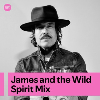 Imagem de James And The Wild Spirit
