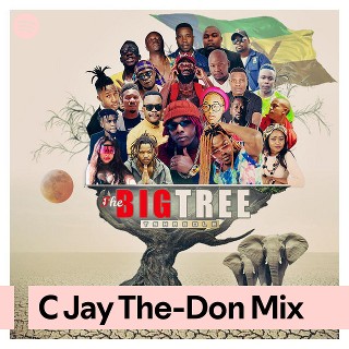 C Jay The-Don Mix | Spotify Playlist