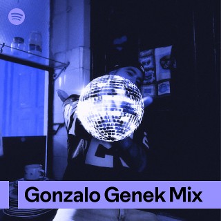 Imagem de Gonzalo Painenen Parra