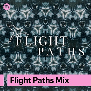 Imagem de Flight Paths