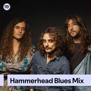 Imagem de Hammerhead Blues