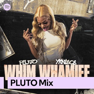 Imagem de Pluri Records