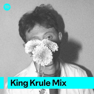 Imagem de King Krule