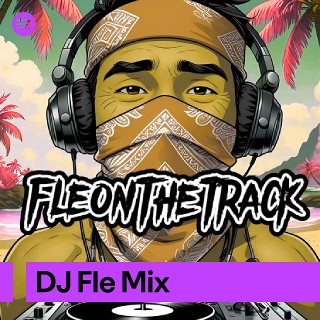 DJ Fle Mix | Spotify Playlist