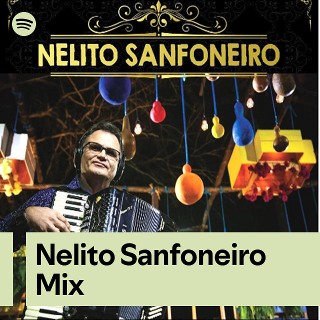 Imagem de Nelito Sanfoneiro