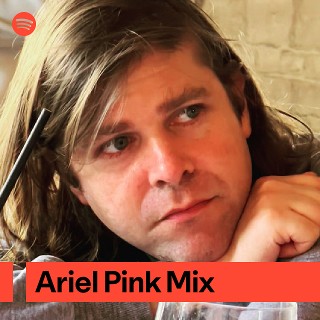 Imagem de Ariel Pink