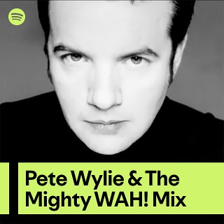 Imagem de Pete Wylie