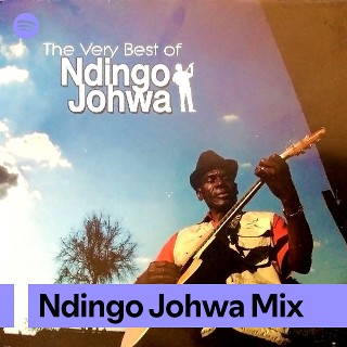 Ndingo Johwa Mix | Spotify Playlist