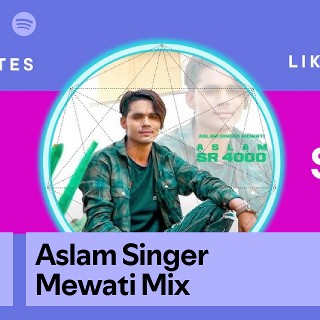 Aslam Singer Mewati Mix | Spotify Playlist