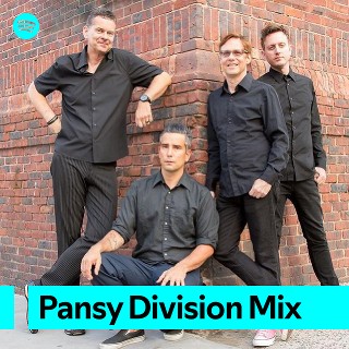 Imagem de Pansy Division