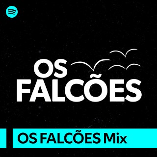 Imagem de Os Falcões