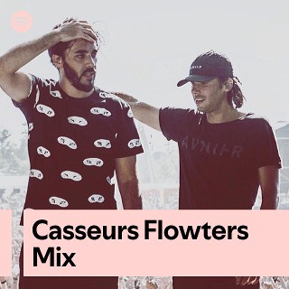Imagem de Casseurs Flowters