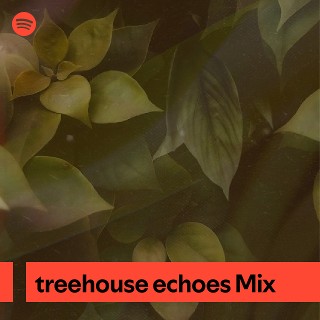 treehouse echoes Mix | Spotify Playlist