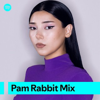 Imagem de Pam Rabbit