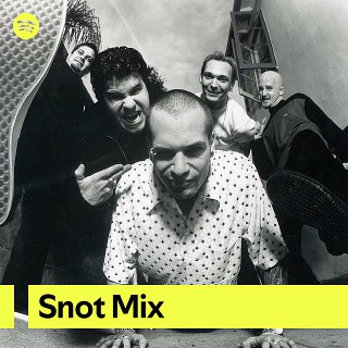 Snot Mix | Spotify Playlist