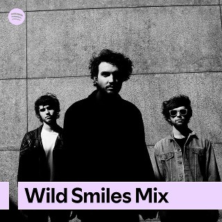 Imagem de Wild Smiles